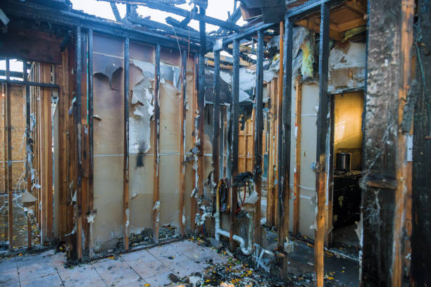Professional Fire Damage Assessment technician working in Nixa, MO